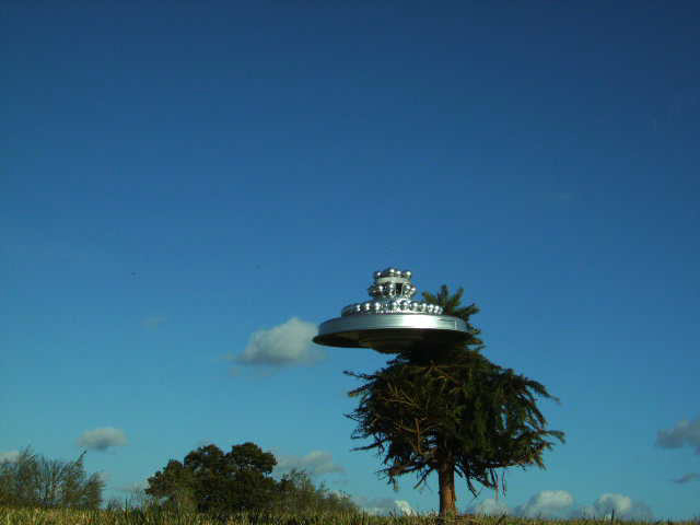 19-Looking_Up